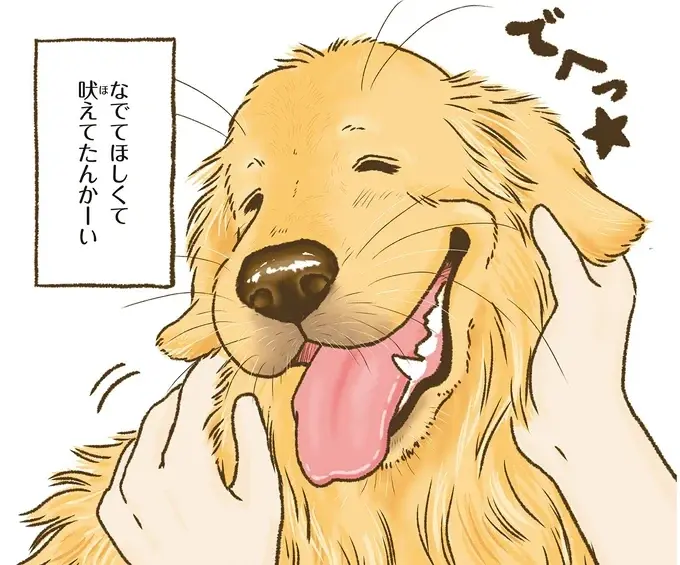 『今日もゴールデンレトリバーに癒されて』（25）
