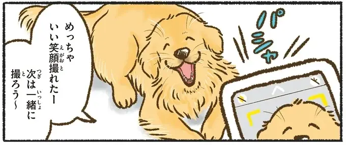 『今日もゴールデンレトリバーに癒されて』（26）