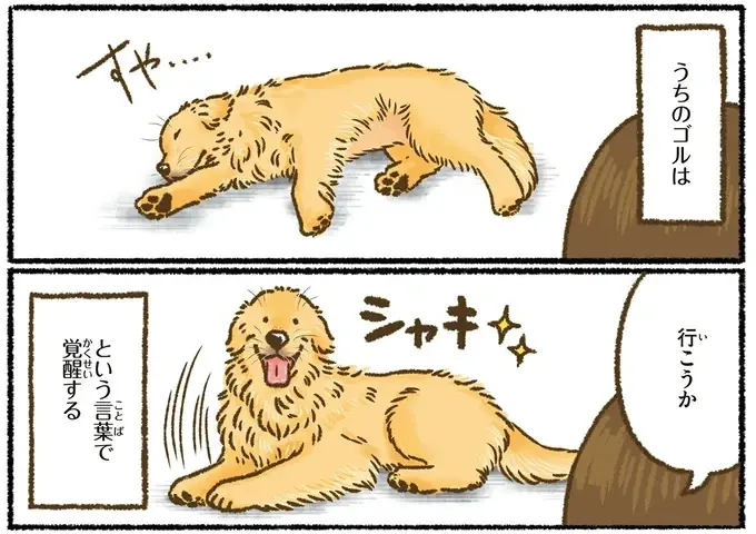 『今日もゴールデンレトリバーに癒されて』（28）