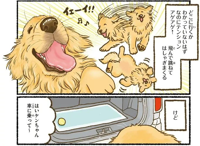 『今日もゴールデンレトリバーに癒されて』（29）