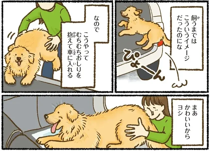 『今日もゴールデンレトリバーに癒されて』（31）