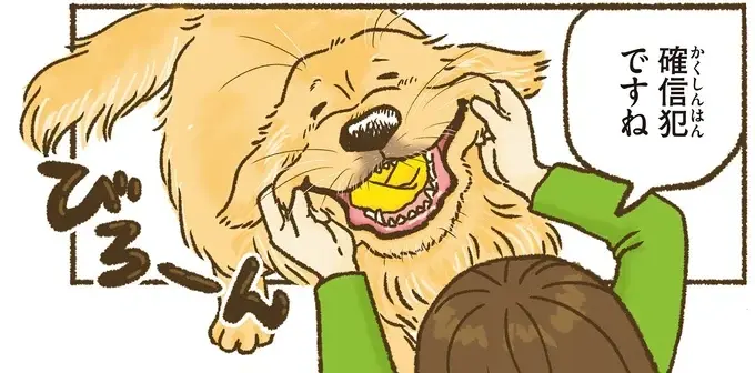 『今日もゴールデンレトリバーに癒されて』（33）
