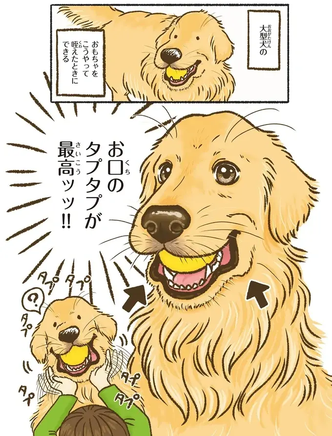 『今日もゴールデンレトリバーに癒されて』（38）