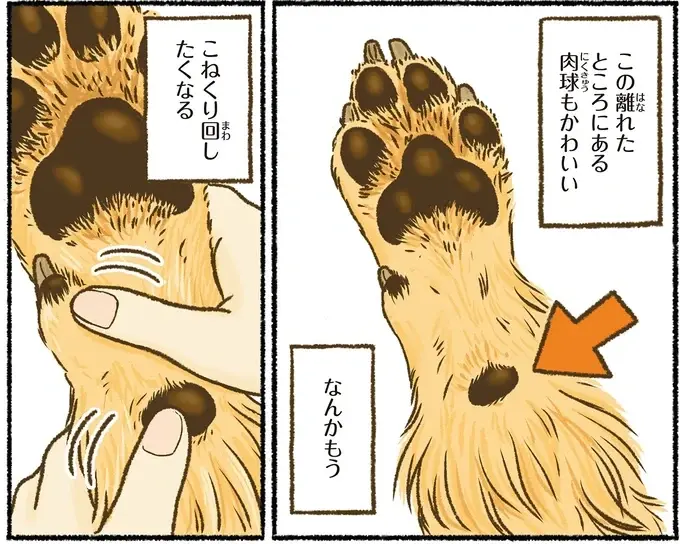 『今日もゴールデンレトリバーに癒されて』（42）