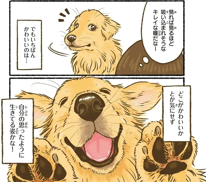 『今日もゴールデンレトリバーに癒されて』（44）
