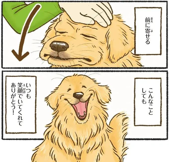 『今日もゴールデンレトリバーに癒されて』（48）