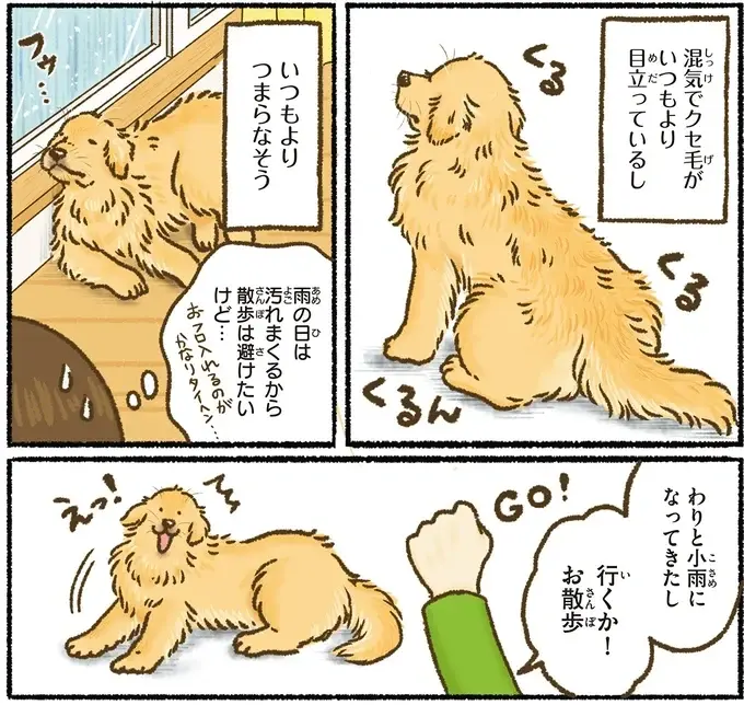 『今日もゴールデンレトリバーに癒されて』（50）