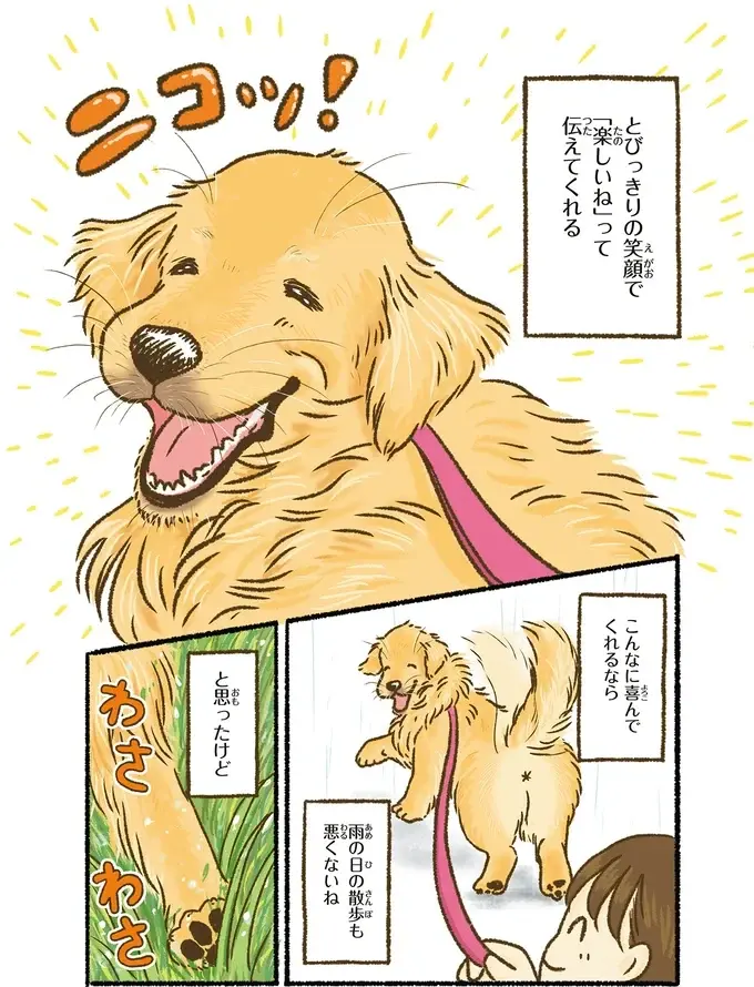 『今日もゴールデンレトリバーに癒されて』（53）