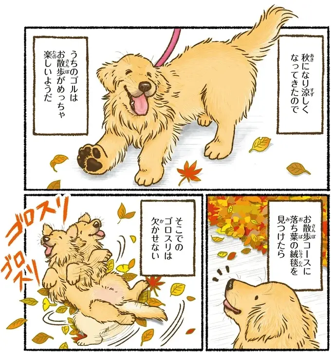 『今日もゴールデンレトリバーに癒されて』（55）