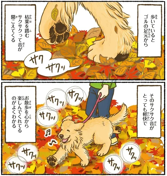 『今日もゴールデンレトリバーに癒されて』（57）