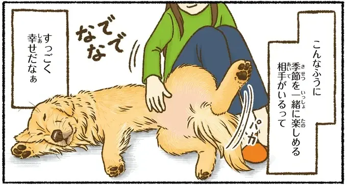 『今日もゴールデンレトリバーに癒されて』（60）