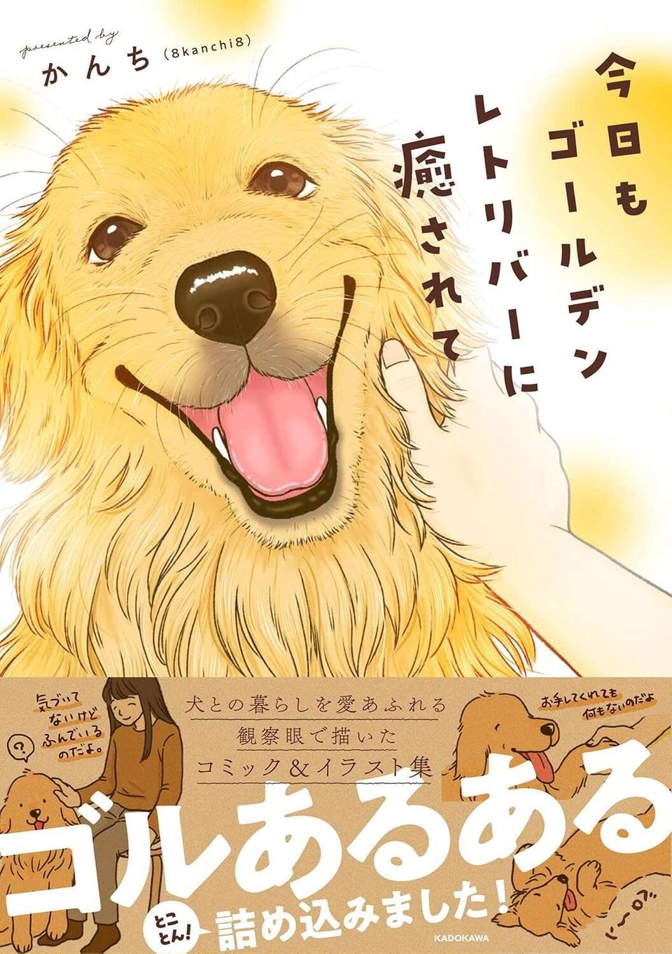 『今日もゴールデンレトリバーに癒されて』（61）