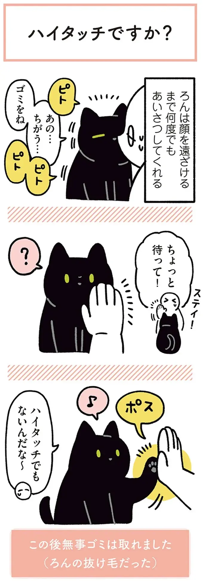 『黒猫ろんと暮らしたら』4～7（5）