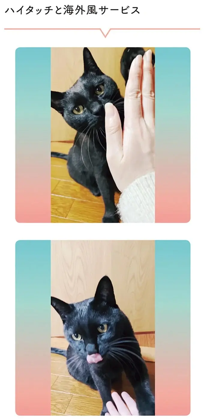 『黒猫ろんと暮らしたら』4～7（12）