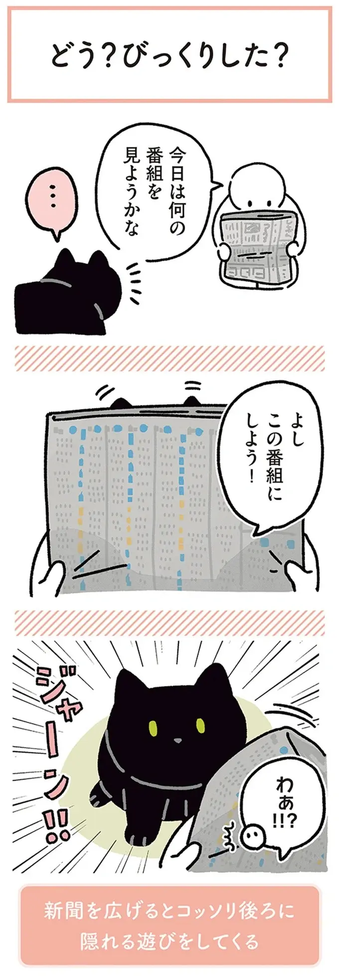 『黒猫ろんと暮らしたら』4～7（24）