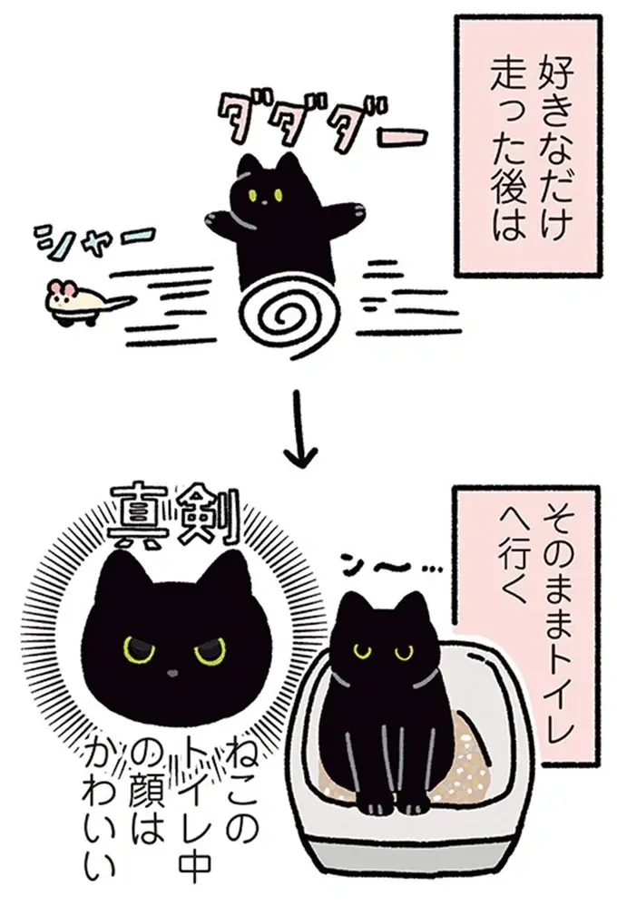 『黒猫ろんと暮らしたら』4～7（27）