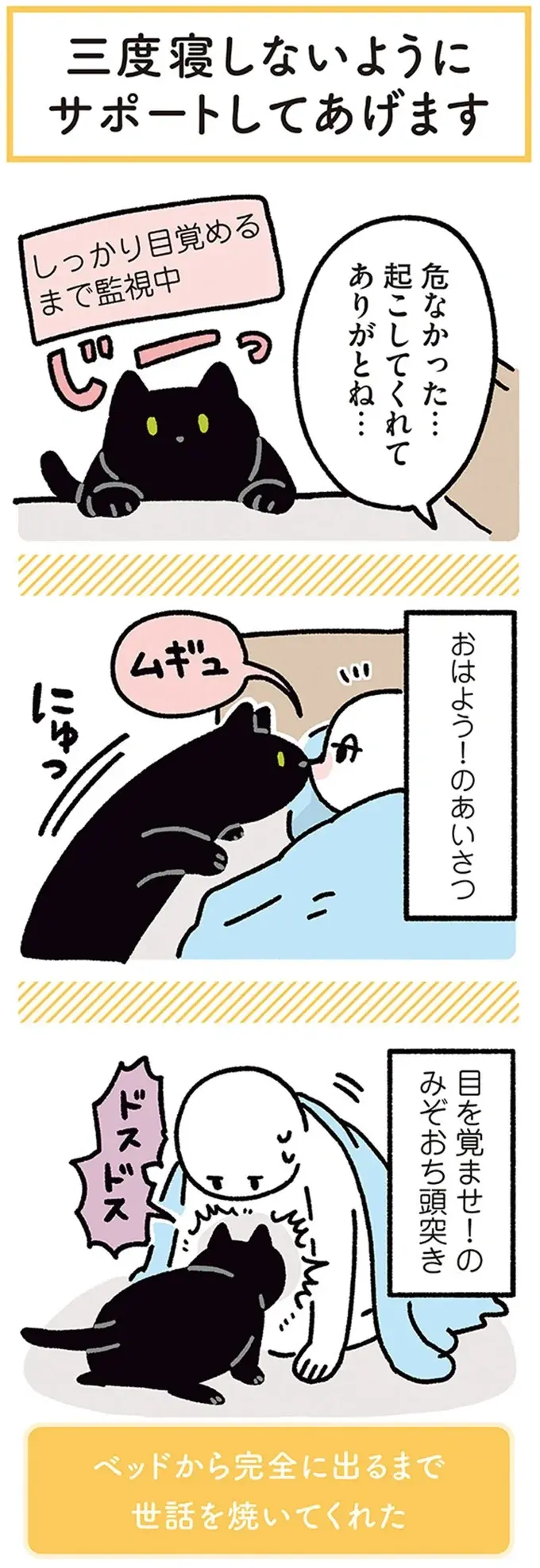 『黒猫ろんと暮らしたら』4～7（47）