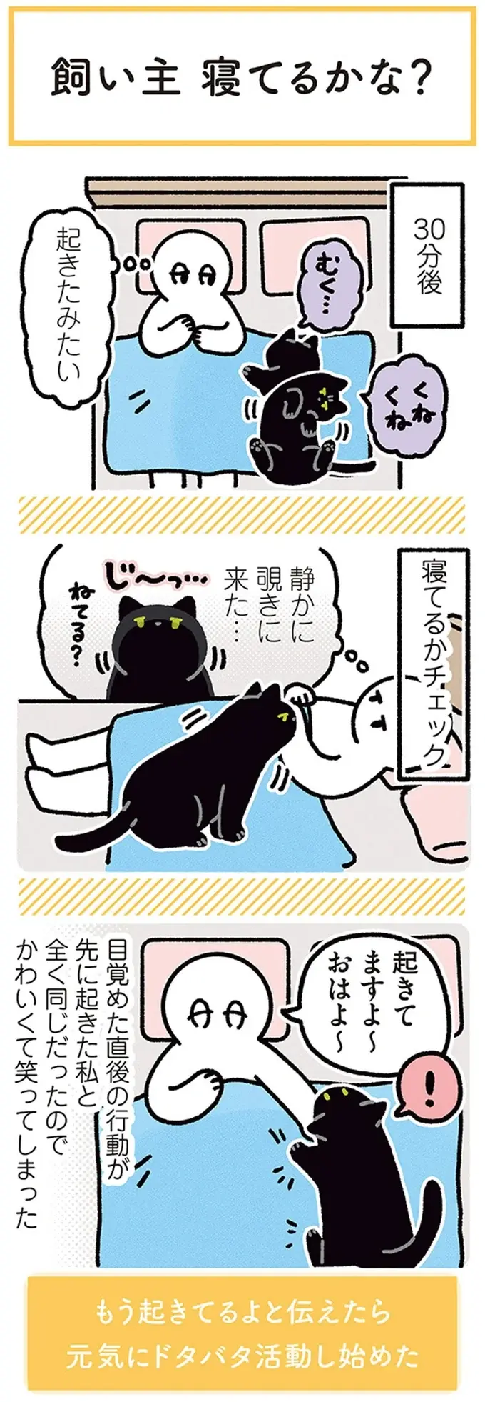 『黒猫ろんと暮らしたら』4～7（49）