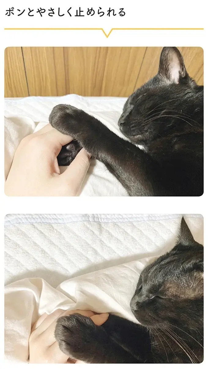 『黒猫ろんと暮らしたら』4～7（51）