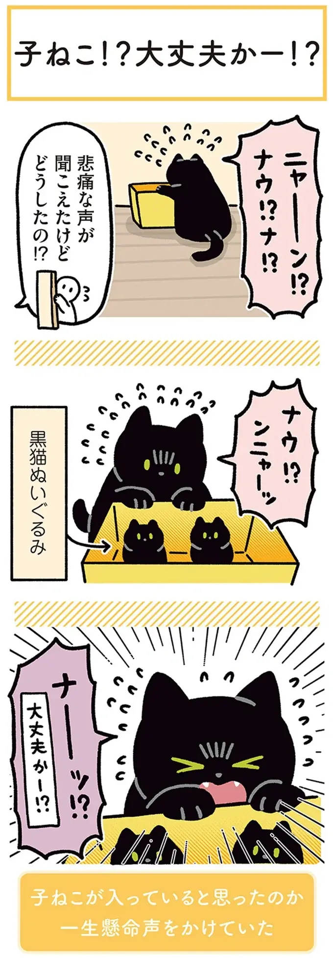 『黒猫ろんと暮らしたら』4～7（52）