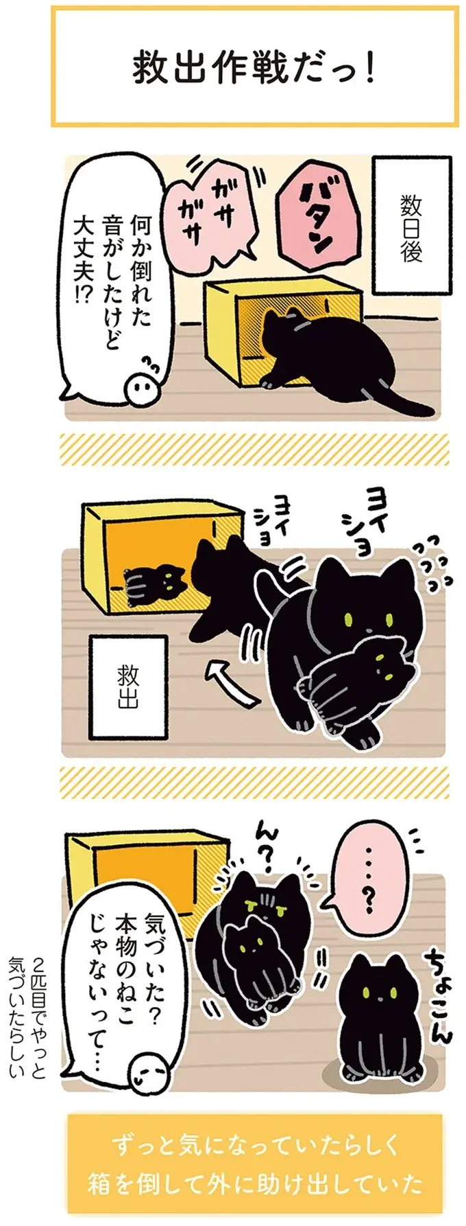 『黒猫ろんと暮らしたら』4～7（53）
