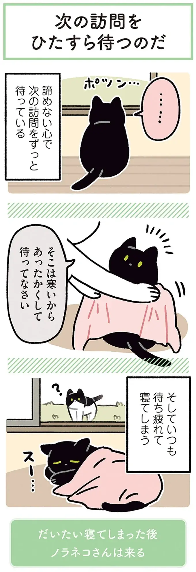 『黒猫ろんと暮らしたら』4～7（64）