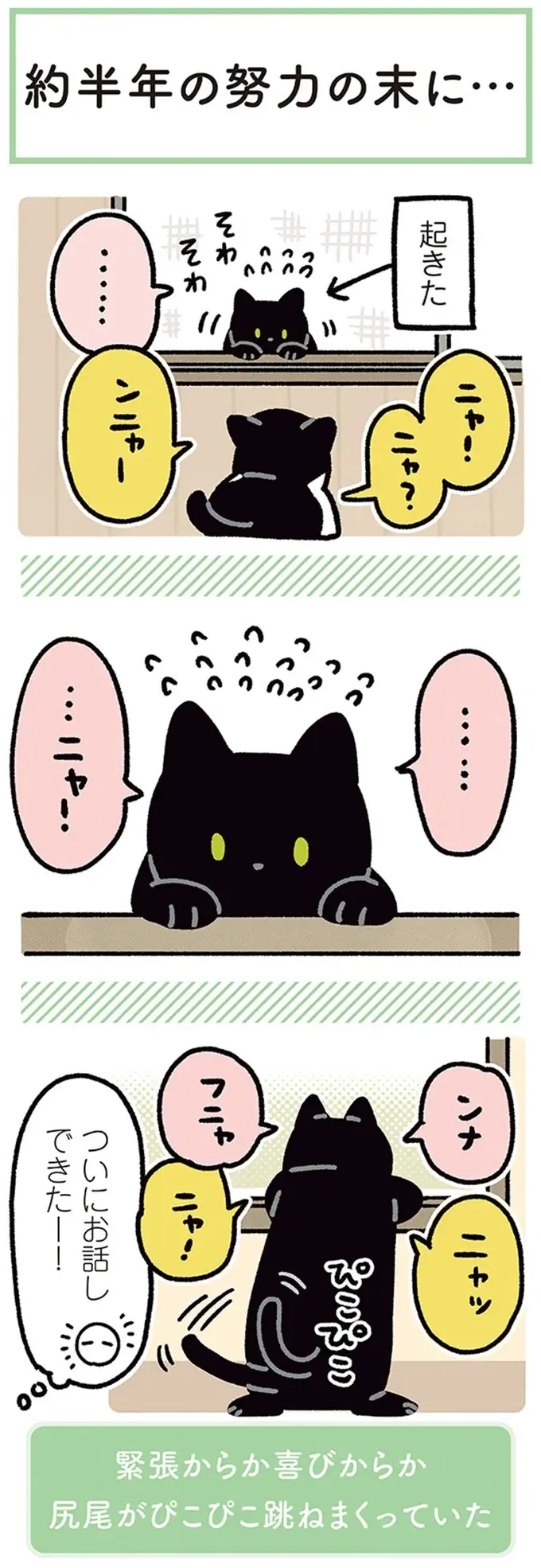 『黒猫ろんと暮らしたら』4～7（65）