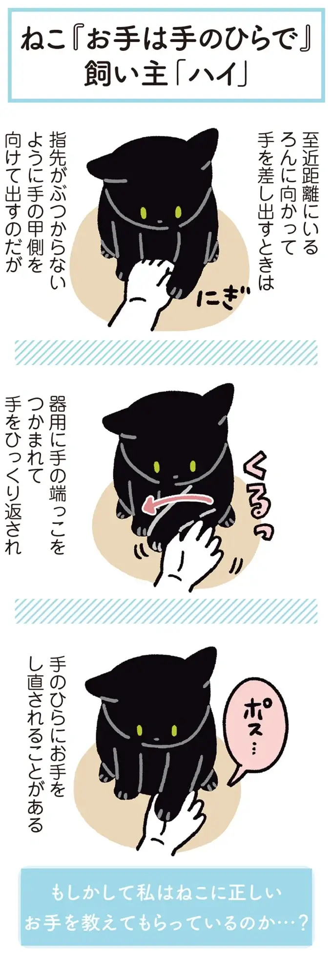 『黒猫ろんと暮らしたら』4～7（67）