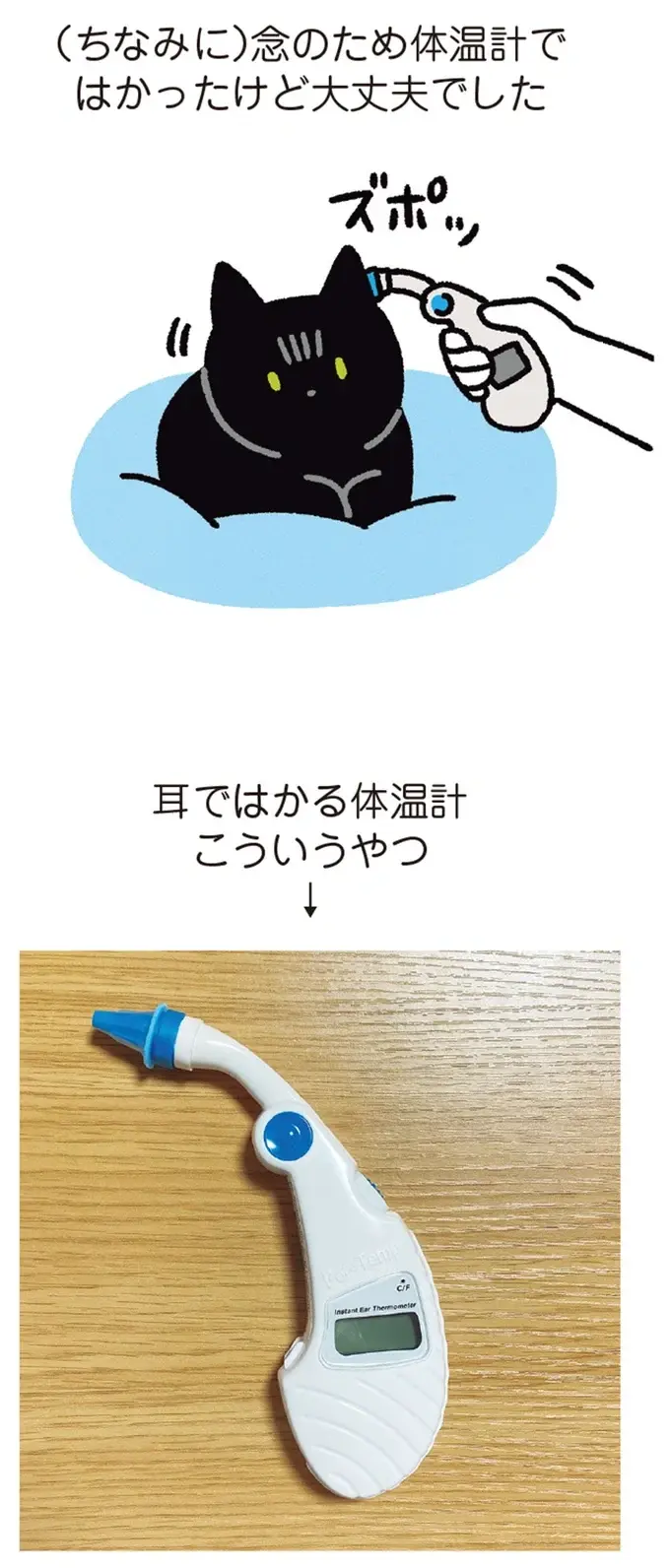 『黒猫ろんと暮らしたら』4～7（69）