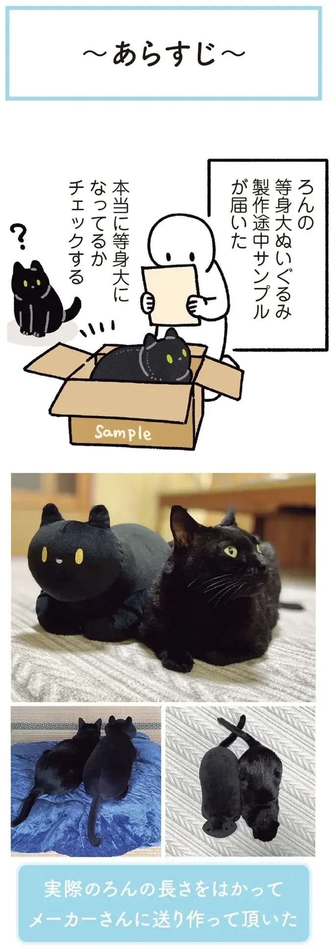 『黒猫ろんと暮らしたら』4～7（76）