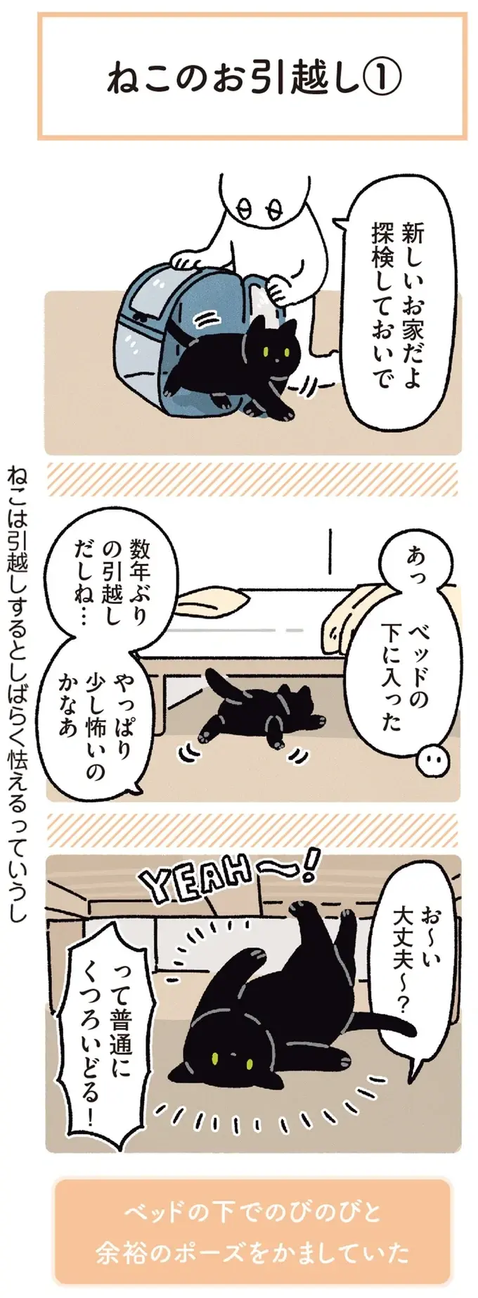 『黒猫ろんと暮らしたら』4～7（78）