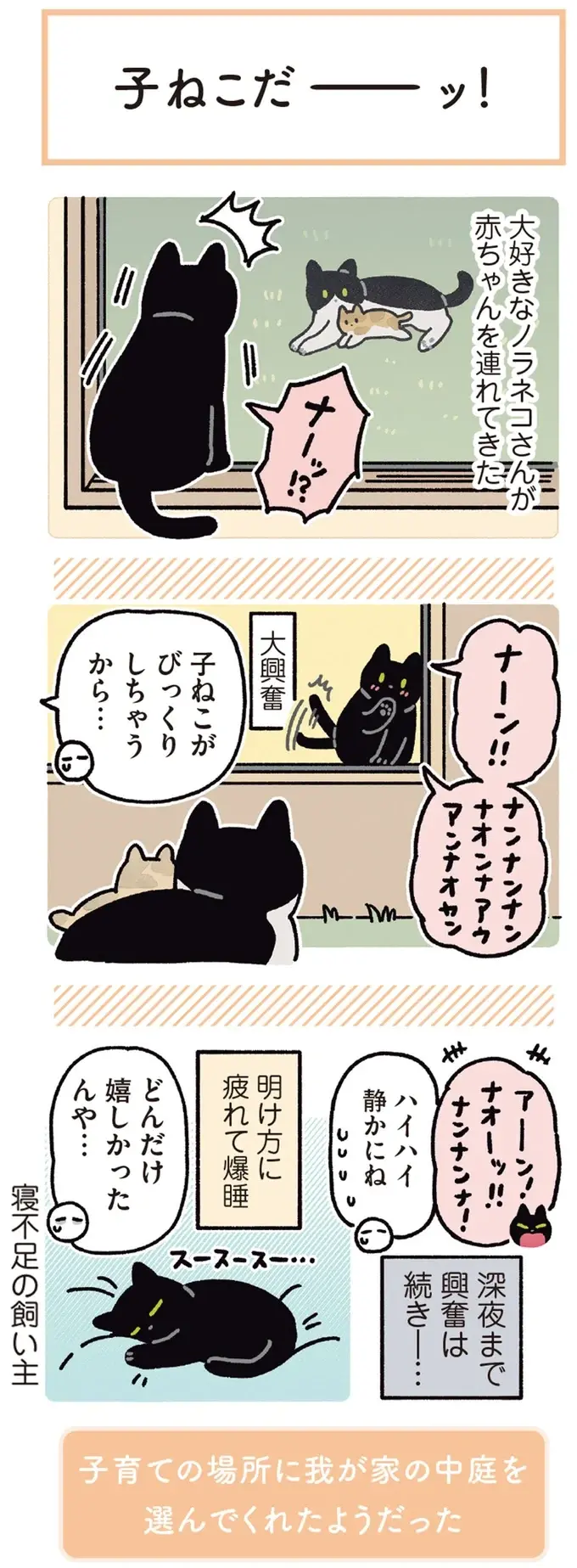 『黒猫ろんと暮らしたら』4～7（85）