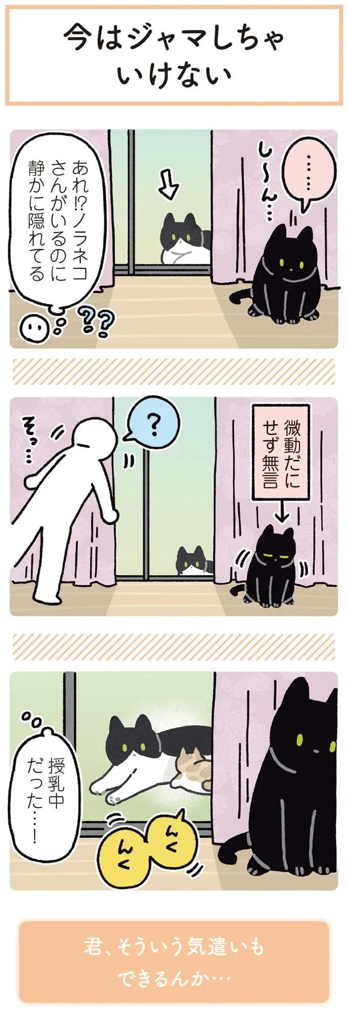 『黒猫ろんと暮らしたら』4～7（86）