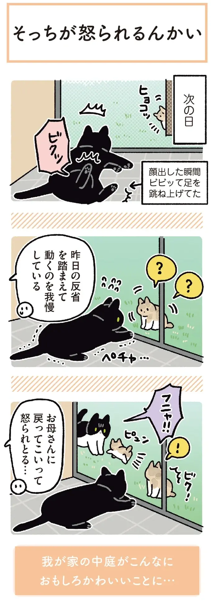 『黒猫ろんと暮らしたら』4～7（88）