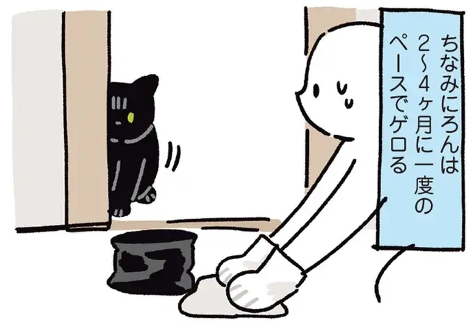 『黒猫ろんと暮らしたら』4～7（95）