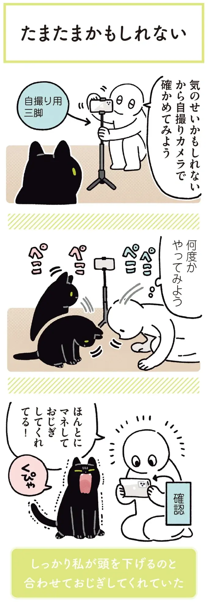 『黒猫ろんと暮らしたら』4～7（103）