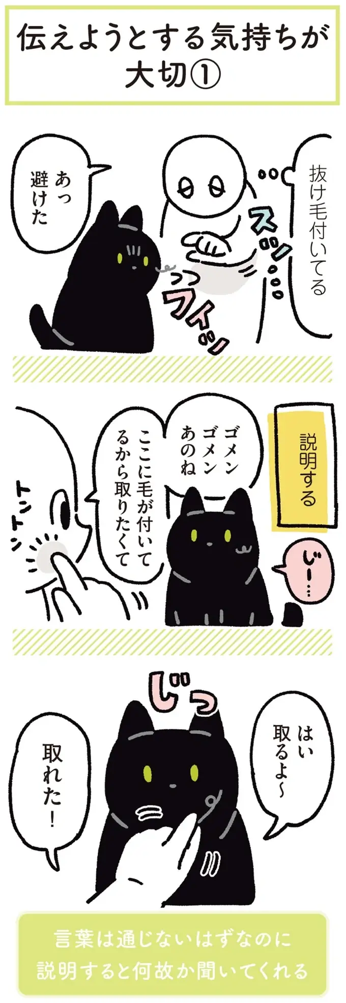 『黒猫ろんと暮らしたら』4～7（106）