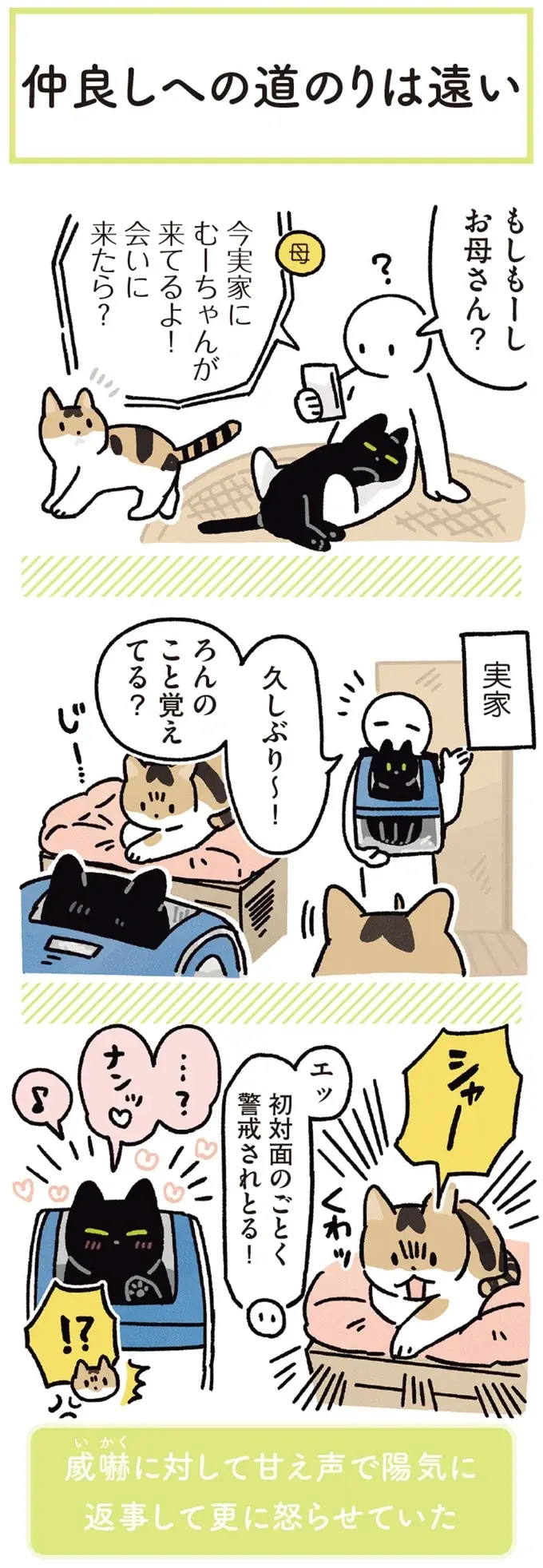 『黒猫ろんと暮らしたら』4～7（110）