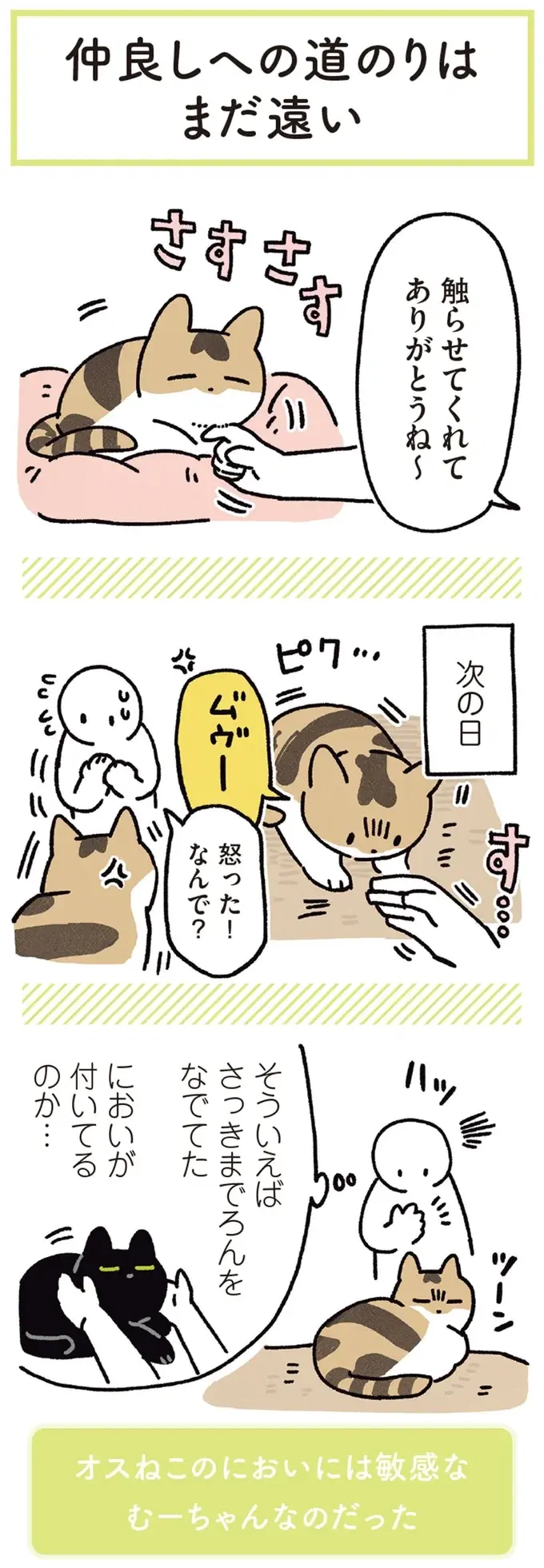 『黒猫ろんと暮らしたら』4～7（111）