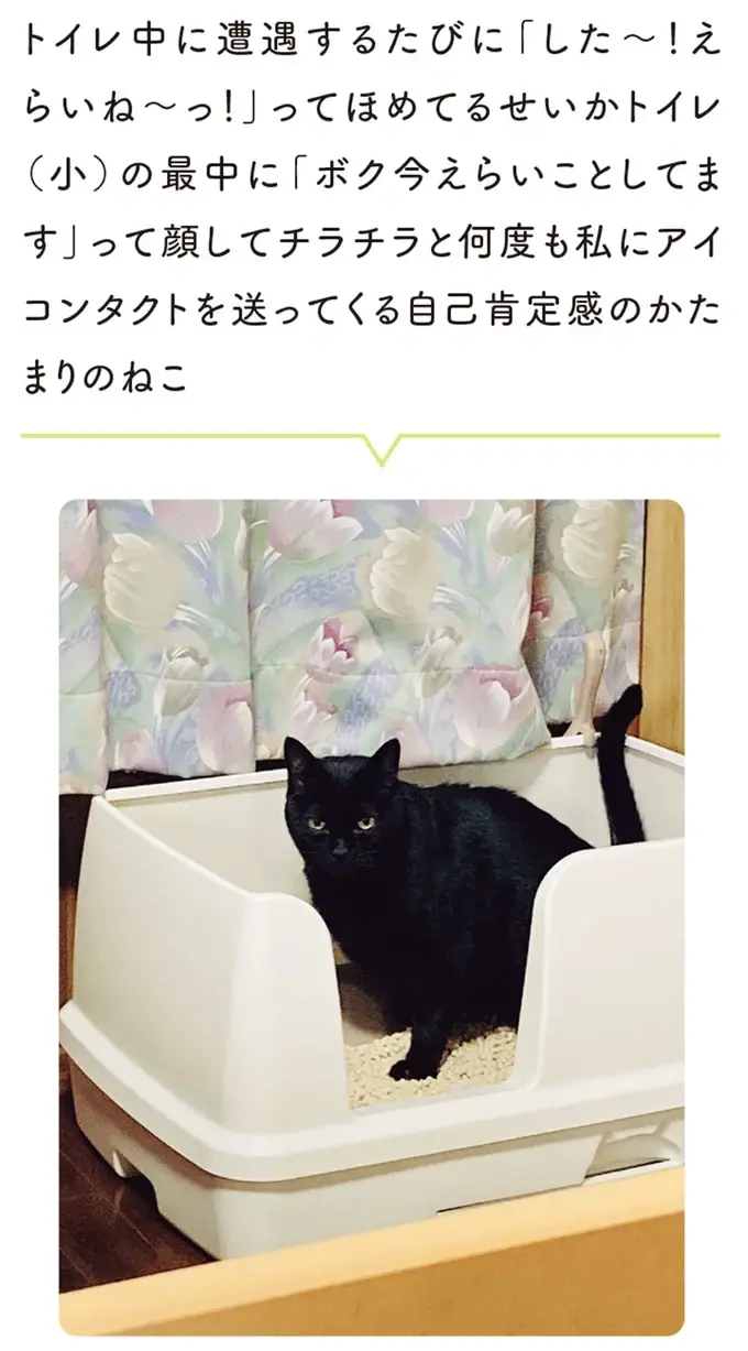 『黒猫ろんと暮らしたら』4～7（113）