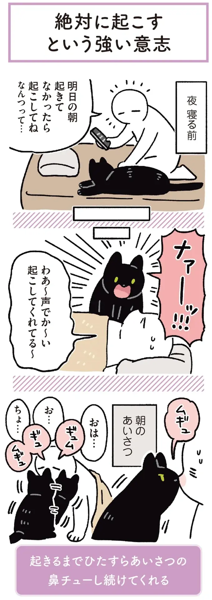 『黒猫ろんと暮らしたら』4～7（115）