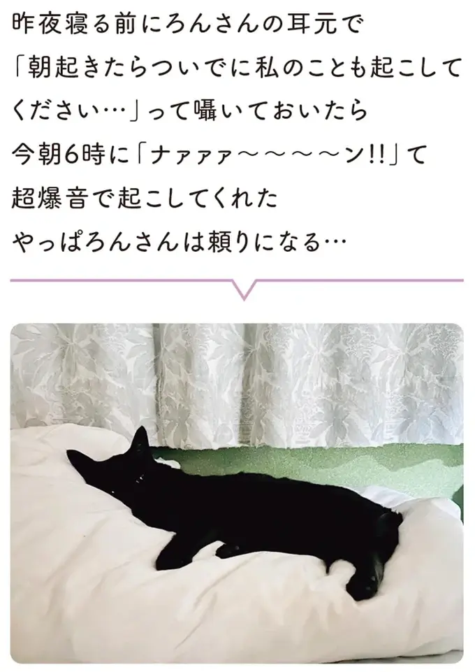 『黒猫ろんと暮らしたら』4～7（118）