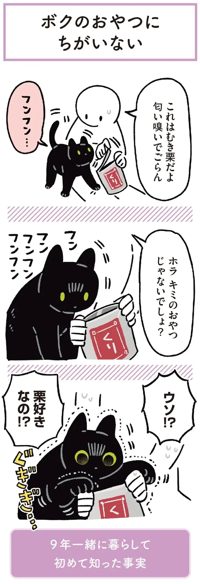 『黒猫ろんと暮らしたら』4～7（123）