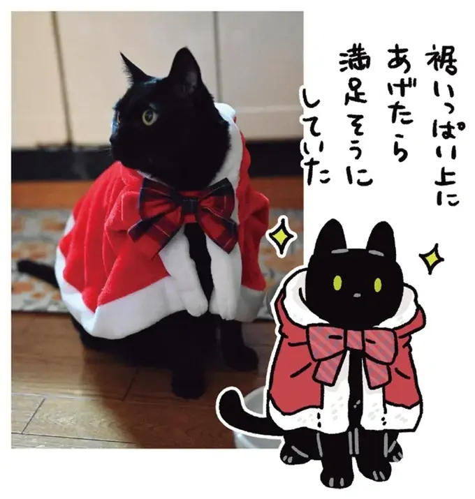 『黒猫ろんと暮らしたら』4～7（126）