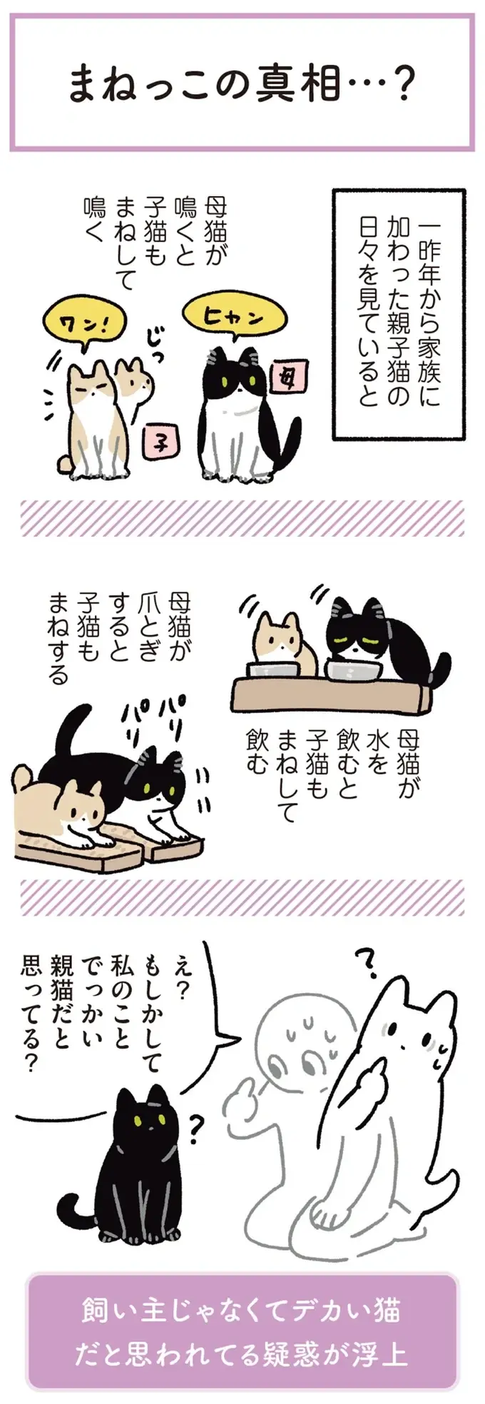 『黒猫ろんと暮らしたら』4～7（131）