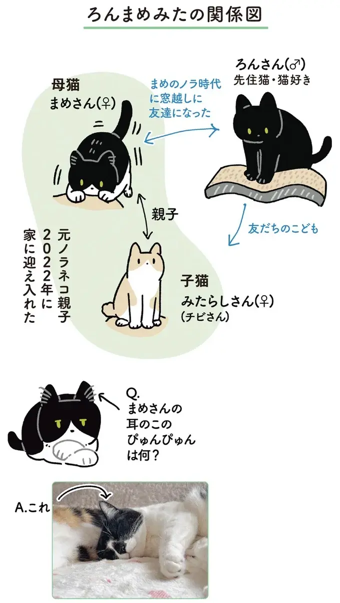 『黒猫ろんと暮らしたら』4～7（135）
