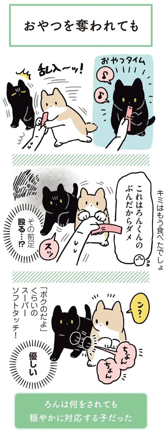 『黒猫ろんと暮らしたら』4～7（136）