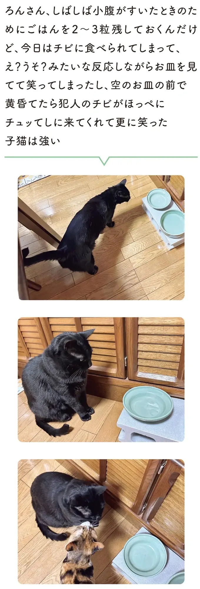 『黒猫ろんと暮らしたら』4～7（137）