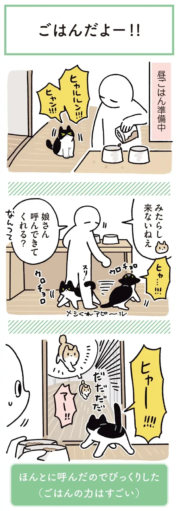 『黒猫ろんと暮らしたら』4～7（138）