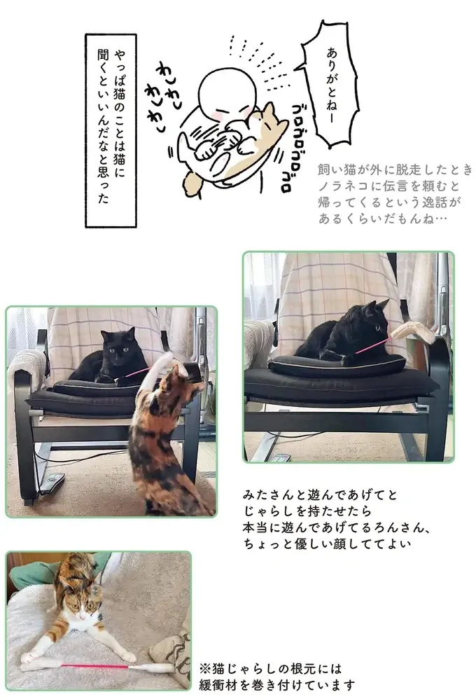 『黒猫ろんと暮らしたら』4～7（140）